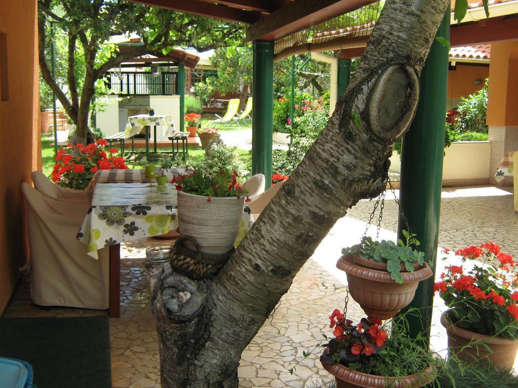 Guest House Bizjak Винкуран Экстерьер фото