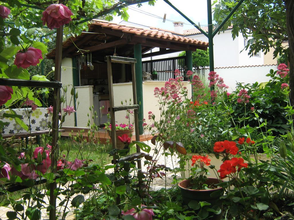 Guest House Bizjak Винкуран Экстерьер фото
